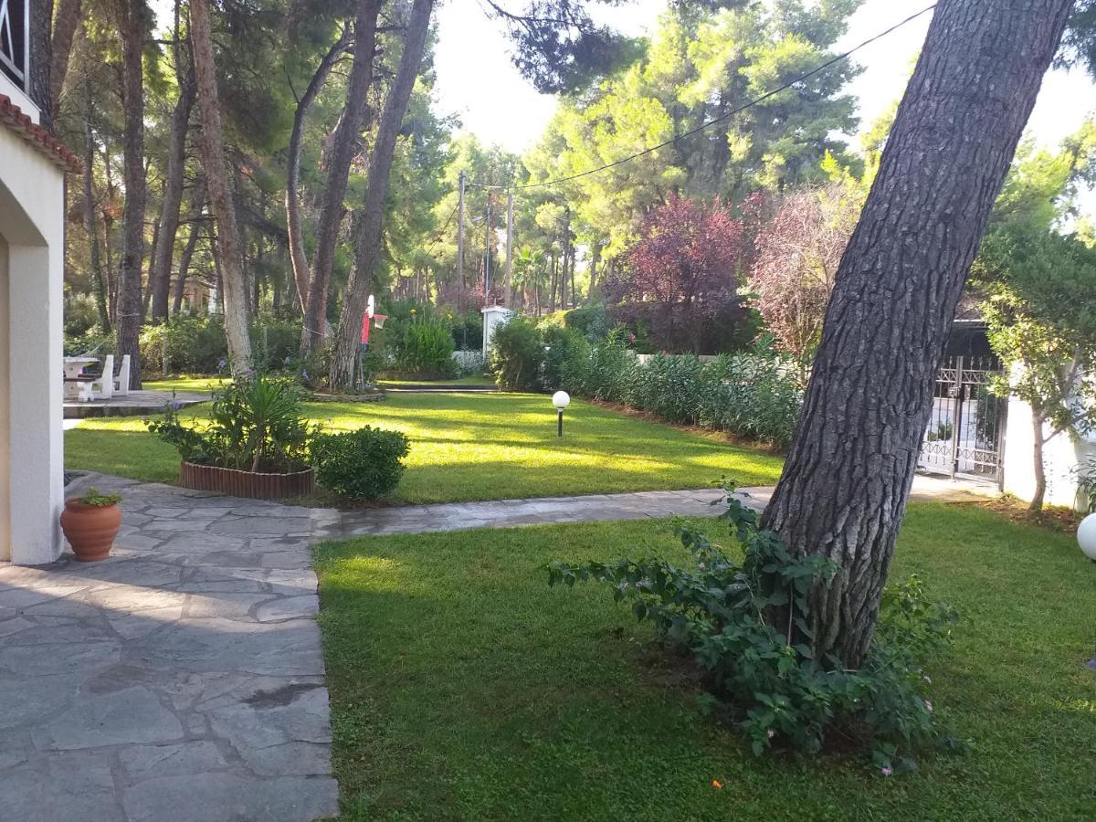 Sani Villa Of Traditional Architecture Екстериор снимка